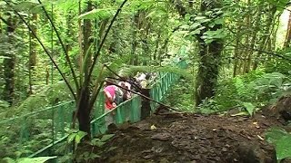 Tree top walkway in Monteverde [upl. by Simonsen]