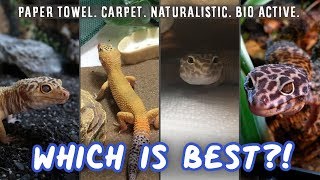 Which Setup Is Best For Leopard Geckos  Paper Towel Carpet Naturalistic or Bio Active 🌵 [upl. by Nhepets184]