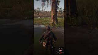 Clamp Shell Orchid Location RDR2  reddeadredmption2 CowBoy [upl. by Seaddon]