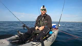 Using Mackerel for live bait in the UK  Kayak fishing [upl. by Lladnar]