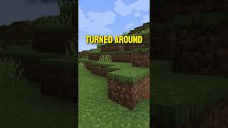 Whats going on in minecraft minecraft minecrafthumor minecraftshorts minecraftmemes [upl. by Rie]