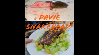 Snakeheads catch and cook from land in Davie FL [upl. by Aerda946]