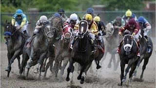 2009 Preakness Stakes [upl. by Caines318]