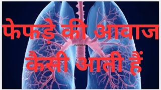 breathing sound  breath sound auscultation breath sound kaisa hota hai  complete breath sound🔊 [upl. by Aiket192]