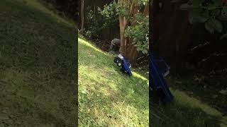 TRX4M High Trail  Fail rc traxxastrx4m fails [upl. by Ilajna5]