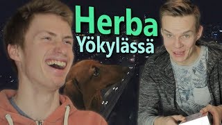 Herba Yökylässä [upl. by Reseta]