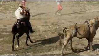 Corrida de toros in Liberia Costa Rica [upl. by Riesman435]