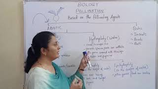 Std XII 1 Pollination by Abiotic agents Anemophily Hydrophily [upl. by Stelmach]