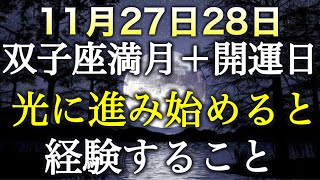 【11月27日周辺】エネルギー高まる時✨今これを経験していたら、光に向かっています！ [upl. by Gavette486]