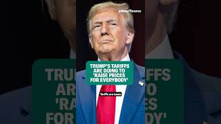 Trump’s tariffs are going to ‘raise prices for everybody’ shorts [upl. by Ambie294]