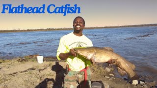 Flathead Catfish Fight Mississippi River [upl. by Ahtel]