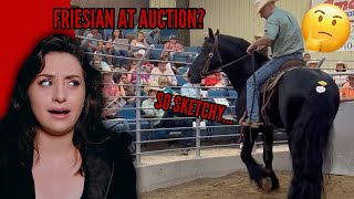 NEVER Buy A Horse At Horse Auctions [upl. by Fabozzi]