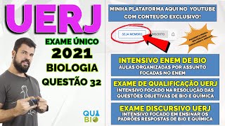 UERJ 2021  Questão 32  DNA  Considere um DNA de fita dupla que deu origem sem qualquer erro no [upl. by Ludeman]