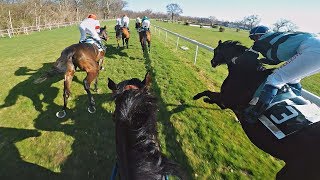 Horse racing  Bratislava  3 Category  1600 M  Valorous Influence  GOPRO [upl. by Lehteb546]