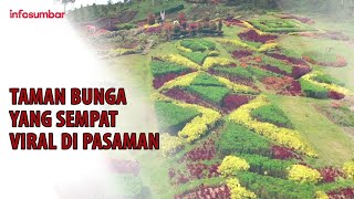 Taman bunga puncak tonang sempat viral dan sekarang sudah mulai sepi dengan pengunjung [upl. by Veriee]