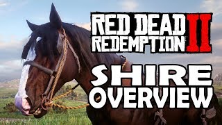 Red Dead Redemption 2 Horses  Shire Overview [upl. by Hilten]