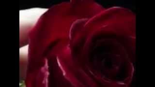 Ghost of a Rose Blackmores Night wmv [upl. by Pizor]