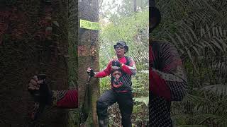 lintas 4 gunung gn bengbreng gn mala gn kasak 2 dan 32 [upl. by Assile]