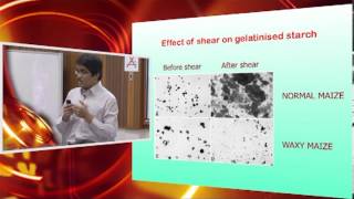 IMK421  Lecture 6  18th October 2012 — Starch Gelatinization Part 2 [upl. by Anoid]