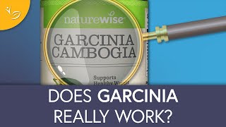 Garcinia Cambogia What to Expect for Realistic Results [upl. by Aneele995]