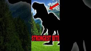 Unbelievable The Strongest Animal Bite in History Will Shock You shorts [upl. by Catha]