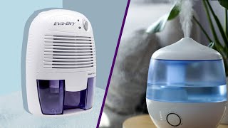 Air Purifier Vs Humidifier Difference and Comparison  All You Need To Know [upl. by Schober498]