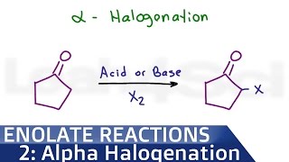 Alpha Halogenation of Ketones Reaction Mechanism in Acid or Base [upl. by Lovett737]