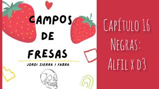 campos de fresas 1619 [upl. by Elkcim435]