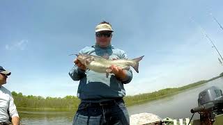 Nanticoke River Catfishing [upl. by Ondrej]