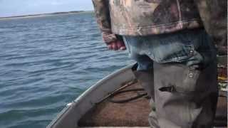 Digging Butter Clams and Crabbing in Netarts Bay [upl. by Rickert]