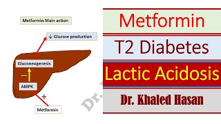 Metformin Review and risk of Lactic Acidosis [upl. by Lavud182]