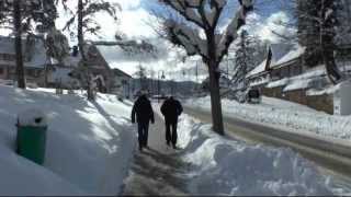 Rundweg Titisee Hochschwarzwald [upl. by Novoj238]