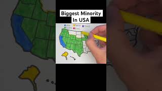 Biggest Minority In The United States🇺🇸 usa unitedstates map geography states minority [upl. by Ednutey]