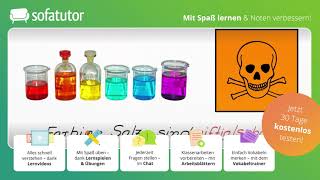 Salze – Einführung einfach erklärt – Chemie 7  10 Klasse [upl. by Alberik]