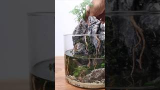 Making a magical mini paludarium with waterfall [upl. by Baynebridge479]