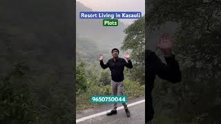 Resort Living in Kasauli firsttimehomebuyer realestate firsthome home firsthomepurchase plot [upl. by Riva]