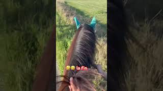 A cru en robe 🥴🥴 traversée chevaux cheval chevalpassion equestrian [upl. by Hessney]