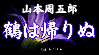 【朗読】山本周五郎「鶴は帰りぬ 」 朗読・あべよしみ [upl. by Hut917]