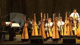 Iguazú en Concierto 2013  Orquesta de Arpas Sonidos de la Tierra Paraguay [upl. by Pros252]