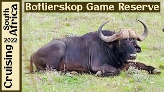 Botlierskop Game Reserve  Mossel Bay South Africa [upl. by Akihsar247]