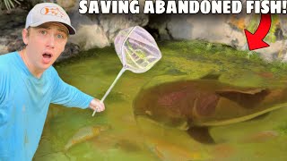 I Saved Abandoned Fish LIVING in Green Slime Pond [upl. by Anama904]