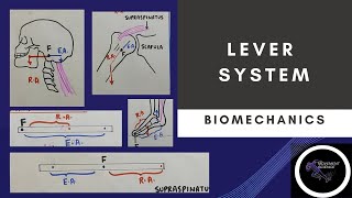 LEVER SYSTEM PART 1 basic concepts of biomechanics Physiotherapy class [upl. by Atlee]