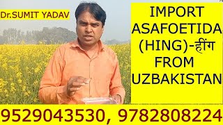 IMPORT ASAFOETIDA HING हींग FROM UZBAKISTAN [upl. by Niamrej]