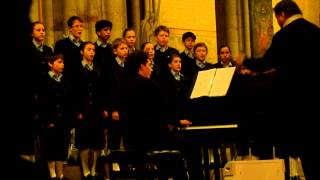 PCSM Petits Chanteurs de Saint Marc We are the world [upl. by Ahsenot382]