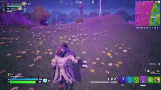 Fortnite chill 😁 [upl. by Reinnej35]