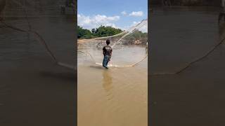 Fishing on river 🤗 fishing aquaculture ruralactivities fish rural fishfarming [upl. by Zebaj]