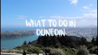 TOP THINGS TO DO IN DUNEDIN NZ [upl. by Callum]