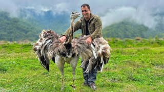 Cooking The Best Unimaginable Recipes In The Mountain Village Of Azerbaijan [upl. by Aihsot]