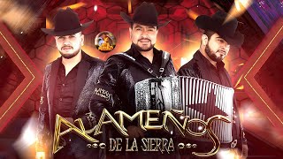 LOS ALAMEÑOS DE LA SIERRA🔥Huapangos Pa Bailar 2024🔥Popurri De Huapangos🔥Cumbias para Bailar 2024 [upl. by Nahk937]