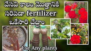 summer fertilizer for all plants  Best fertilizer for all plants [upl. by Alastair]